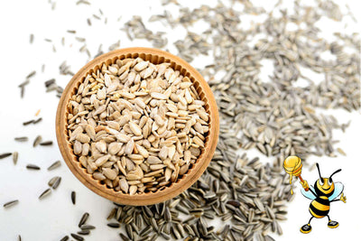 Sonnenblumenkern-Honig-Brot