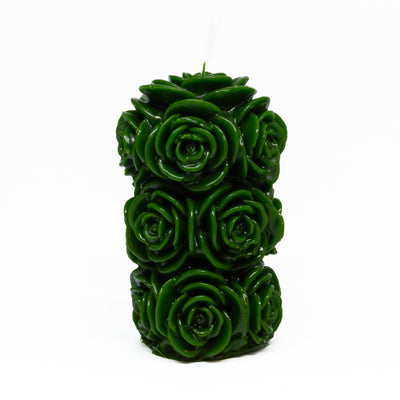 Blühende Rose